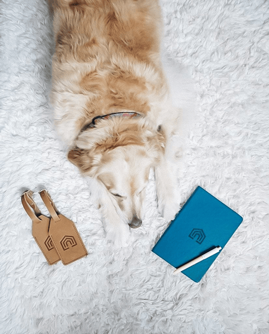 Prototype walkthrough of the new F&I Product Management app.